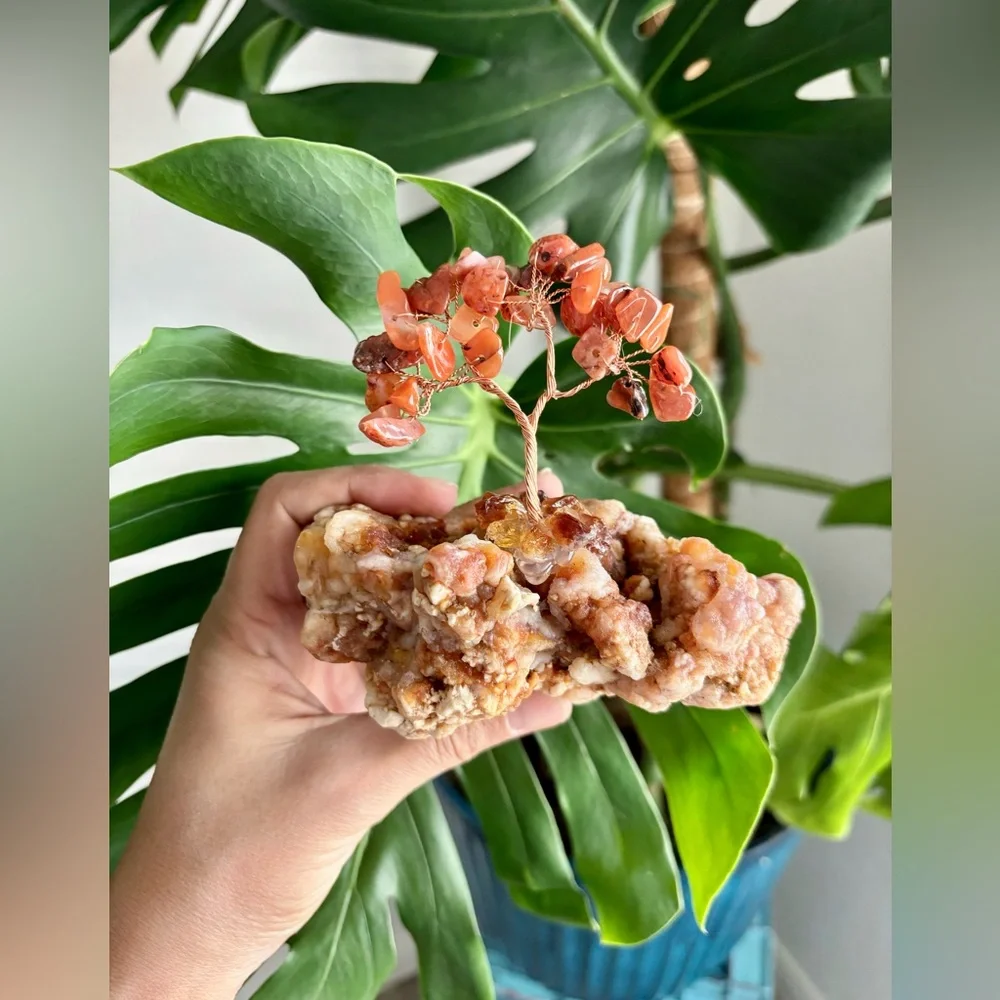 Carnelian Tree on Chalcedony